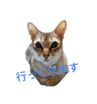 のほほん太っちょボーイズ（個別スタンプ：7）
