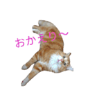 のほほん太っちょボーイズ（個別スタンプ：8）
