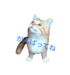 のほほん太っちょボーイズ（個別スタンプ：12）