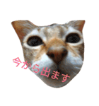 のほほん太っちょボーイズ（個別スタンプ：15）