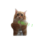 のほほん太っちょボーイズ（個別スタンプ：23）