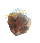 のほほん太っちょボーイズ（個別スタンプ：28）