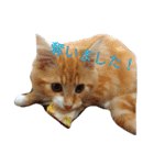 のほほん太っちょボーイズ（個別スタンプ：29）