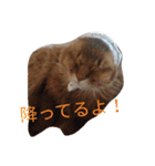 のほほん太っちょボーイズ（個別スタンプ：32）