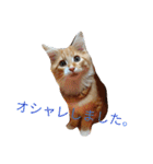 のほほん太っちょボーイズ（個別スタンプ：33）