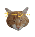 のほほん太っちょボーイズ（個別スタンプ：40）