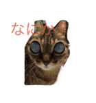 ずんマニア3（個別スタンプ：3）