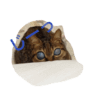 ずんマニア3（個別スタンプ：6）