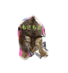 ずんマニア3（個別スタンプ：7）