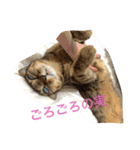 ずんマニア3（個別スタンプ：8）