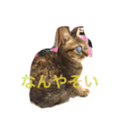 ずんマニア3（個別スタンプ：24）