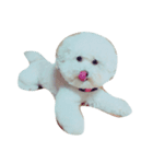 kenkun（個別スタンプ：1）