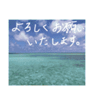 沖縄の海と生き物②（個別スタンプ：18）
