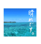 沖縄の海と生き物②（個別スタンプ：24）