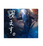 沖縄の海と生き物②（個別スタンプ：28）