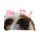 きゃばの写真（個別スタンプ：5）