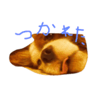 きゃばの写真（個別スタンプ：9）