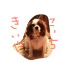 きゃばの写真（個別スタンプ：10）