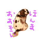 きゃばの写真（個別スタンプ：12）