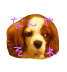 きゃばの写真（個別スタンプ：14）