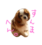 きゃばの写真（個別スタンプ：16）