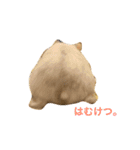 白くて丸いハムスター 2（個別スタンプ：4）