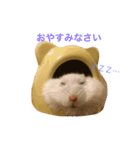 白くて丸いハムスター 2（個別スタンプ：15）