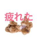 トイプードルmomoの日常（個別スタンプ：2）