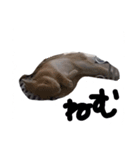 メープルとゆかいなうさぎたち（個別スタンプ：6）