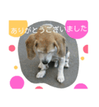 じゅういちろうです。（個別スタンプ：2）
