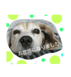 じゅういちろうです。（個別スタンプ：7）
