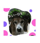 じゅういちろうです。（個別スタンプ：10）