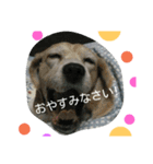 じゅういちろうです。（個別スタンプ：14）
