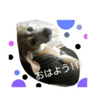 じゅういちろうです。（個別スタンプ：15）