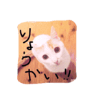 うらみ！！（個別スタンプ：4）