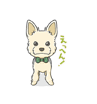 ちいさなヨーキー・テオ2（個別スタンプ：1）