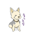ちいさなヨーキー・テオ2（個別スタンプ：2）