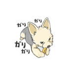 ちいさなヨーキー・テオ2（個別スタンプ：4）