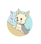 ちいさなヨーキー・テオ2（個別スタンプ：5）