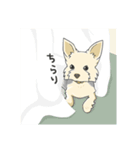 ちいさなヨーキー・テオ2（個別スタンプ：24）
