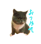 えもスタ（個別スタンプ：2）