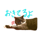 えもスタ（個別スタンプ：3）