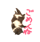 えもスタ（個別スタンプ：4）