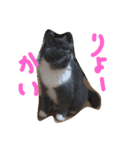 えもスタ（個別スタンプ：6）