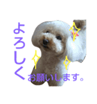 マロンとアリス（個別スタンプ：5）
