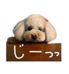 マロンとアリス（個別スタンプ：7）