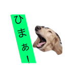 いーちゃん（個別スタンプ：7）