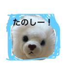 ホワイトライオンのチェリーちゃん（個別スタンプ：5）
