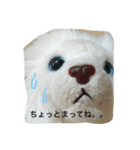 ホワイトライオンのチェリーちゃん（個別スタンプ：6）