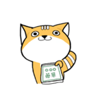 Big head Fox cat（個別スタンプ：5）